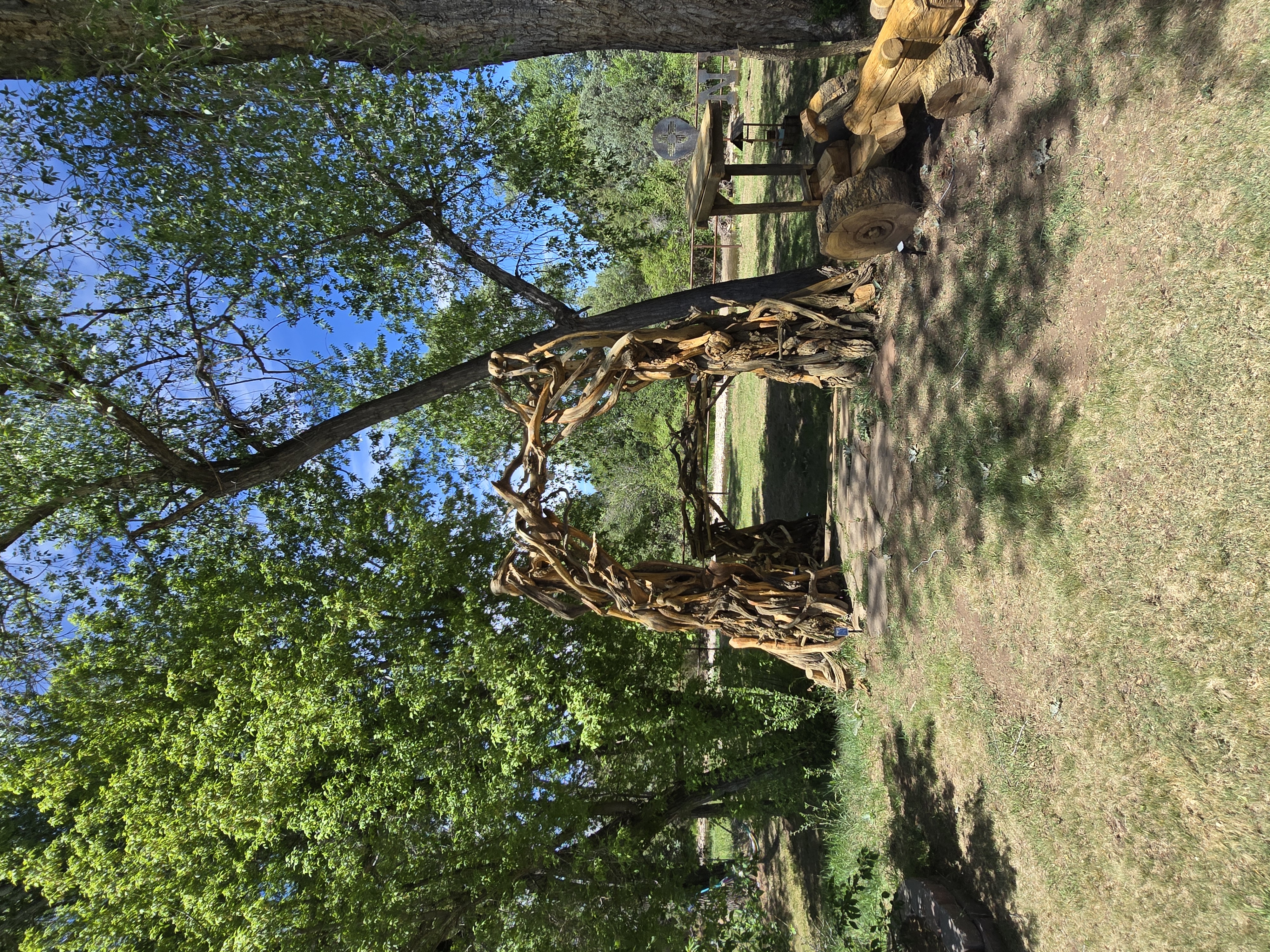 Driftwood wedding arch