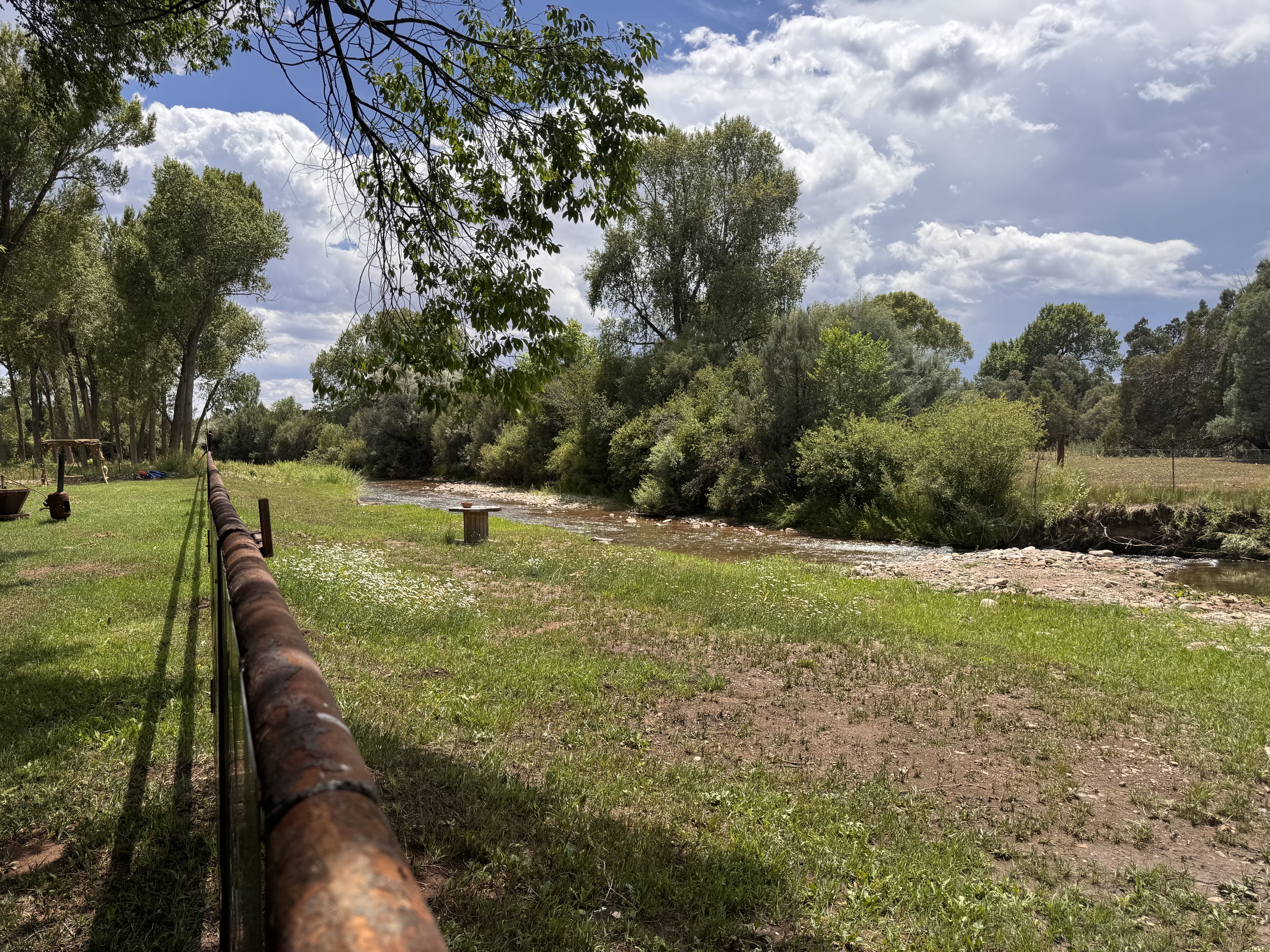 Riverbank with wildflowers
