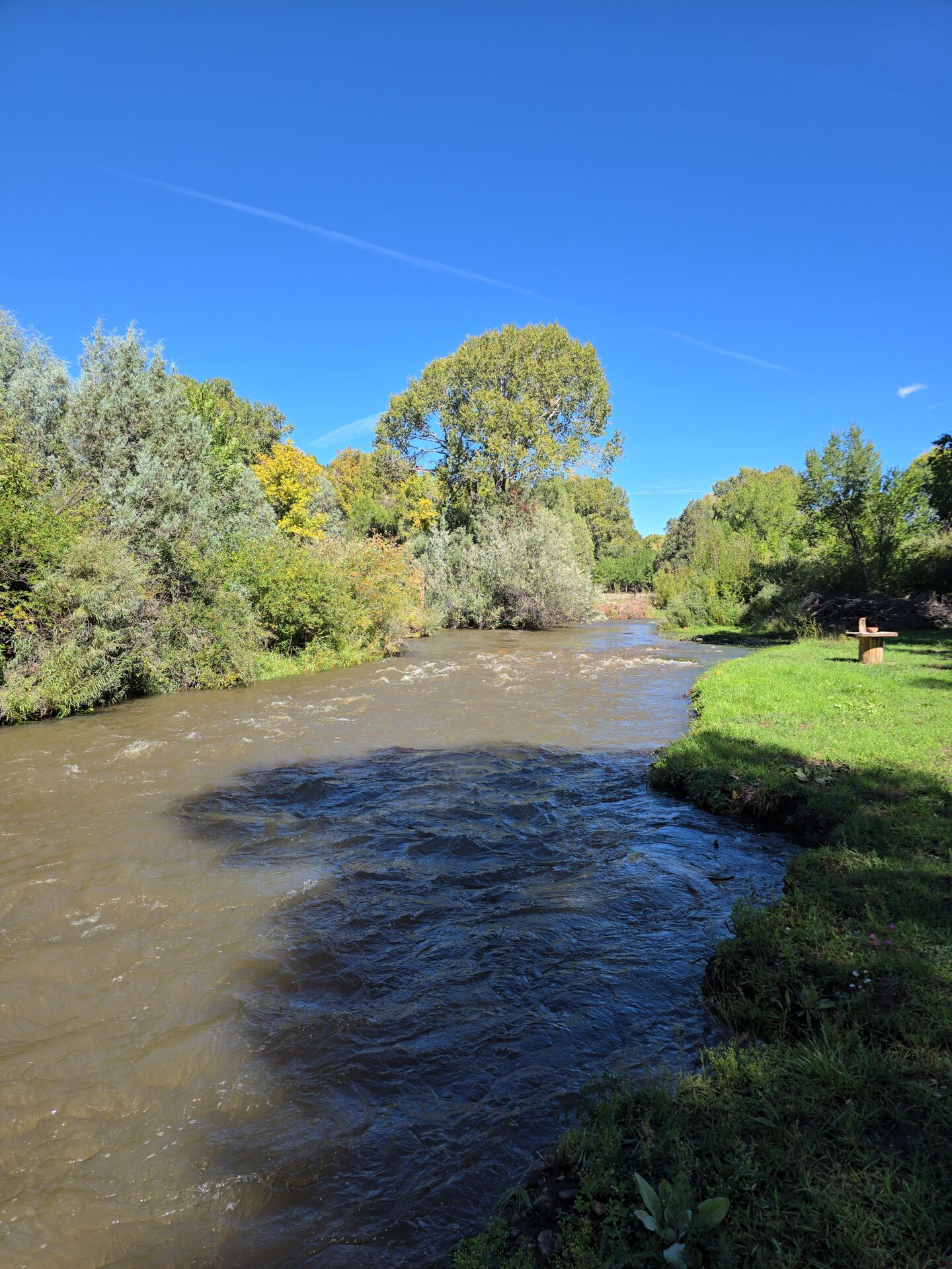Pecos River flowing past the riverbank behind Memory Lane Estate